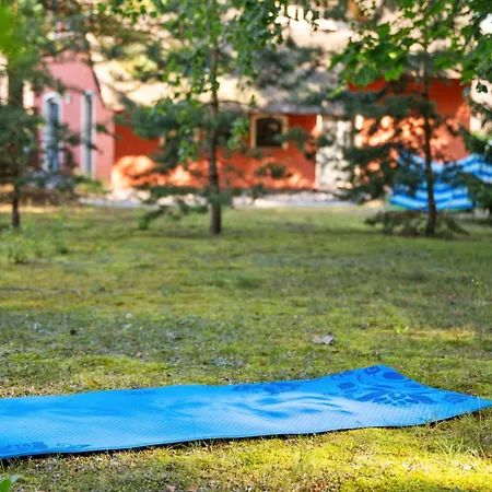 Inselzauber Unter Reet - Deine Auszeit Zwischen Meeresrauschen Und Waldidylle Stubbenfelde